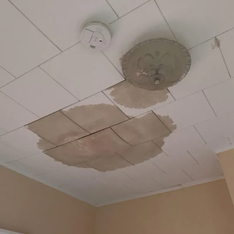Ceiling Water Damage Repair in Pownal, VT