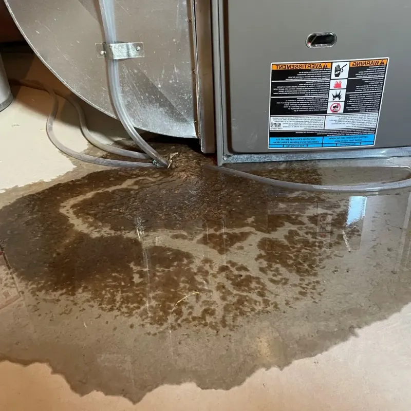 Pipe Burst and Leak Restoration in Pownal, VT