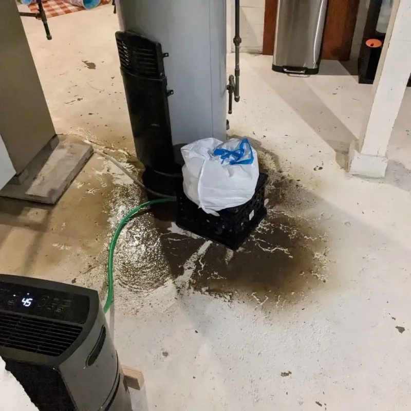 Sewage Backup Cleanup Service in Pownal, VT